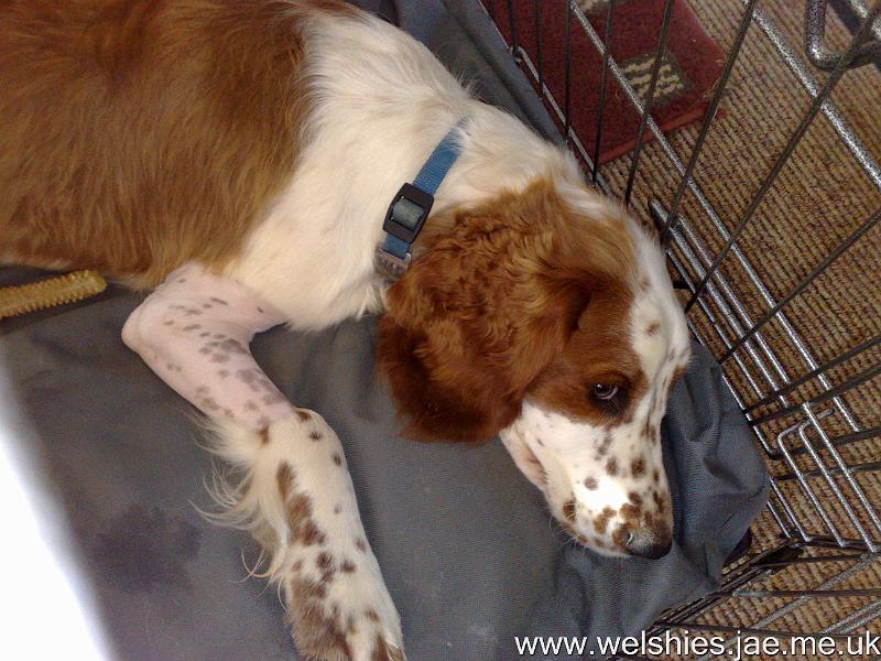 2009-09-24 01.jpg - Week 1, Day 2, recovering from the Op